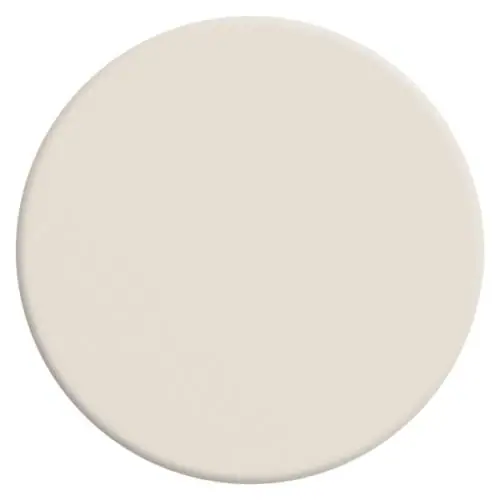 VELOURS DE PEINTURE ® - Couleur Poudre de Riz
