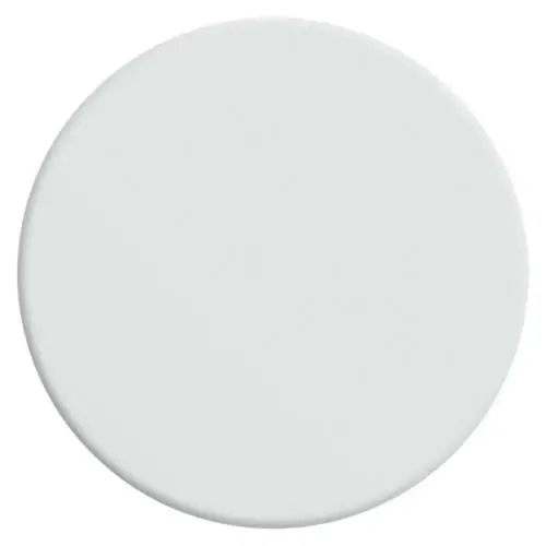 velours-de-peinture-couleur-blanc-camélia