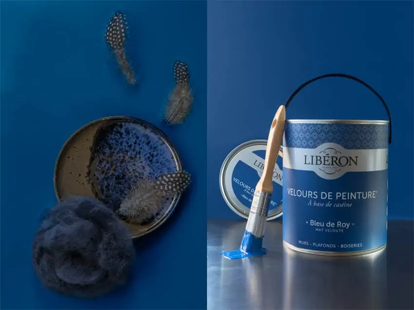 nature-morte-pack-bleu-de-roy