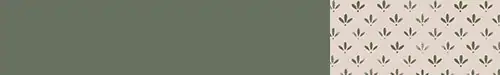 association-couleur-papier-peint-florette-2-peinture-murale-vert-treillis
