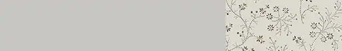 association-couleur-papier-peint-belle-jeanne-1-peinture-murale-gris-saunier