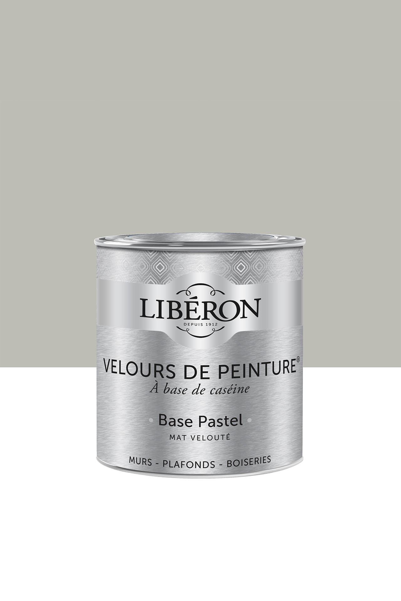 Velours-de-Peinture-05L-Gris-Pleurote-2_1280x1920_BD
