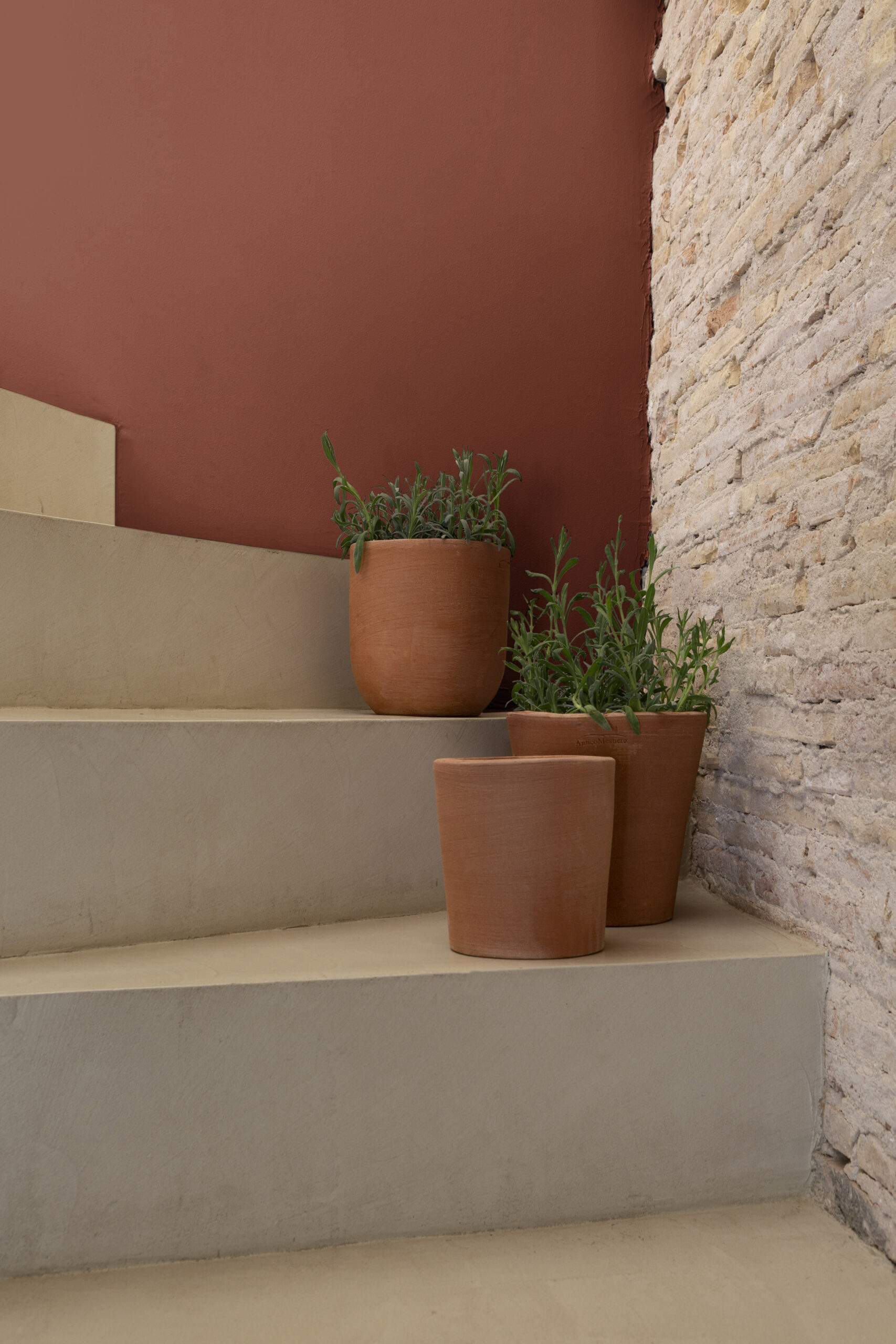 IMG_0109_RouXGoupil_01_pp