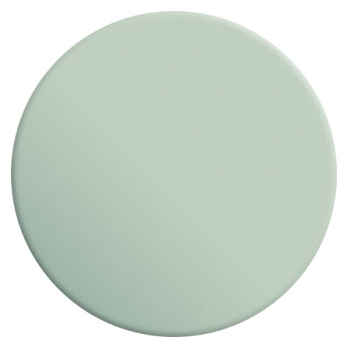 VELOURS DE PEINTURE ® - Couleur Céladon