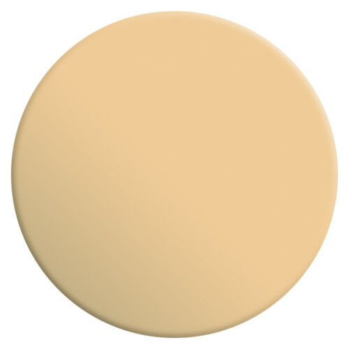 VELOURS DE PEINTURE ® - Couleur Vanille Bourbon