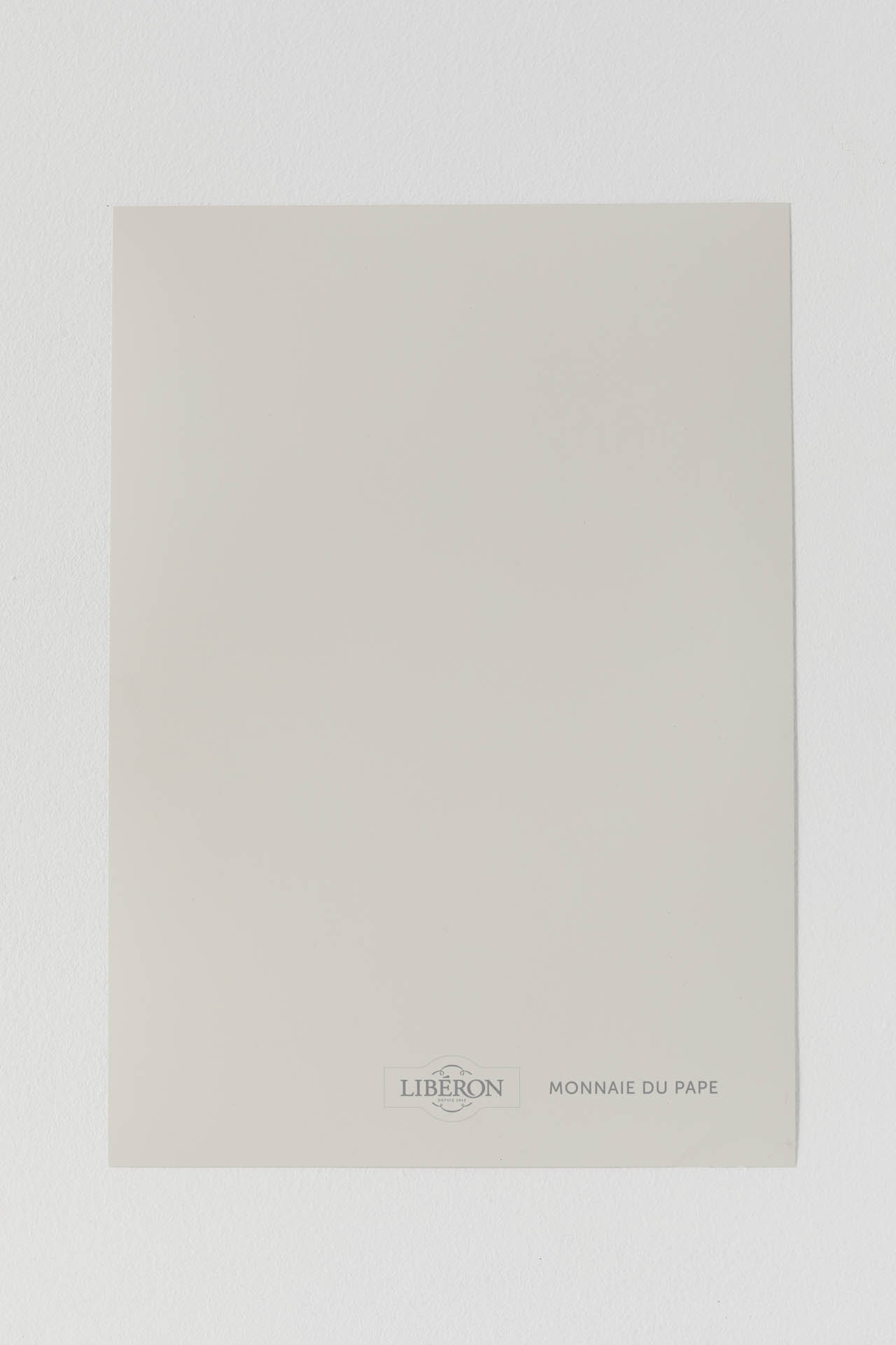 echantillon-peinture-monnaie-du-pape-velours